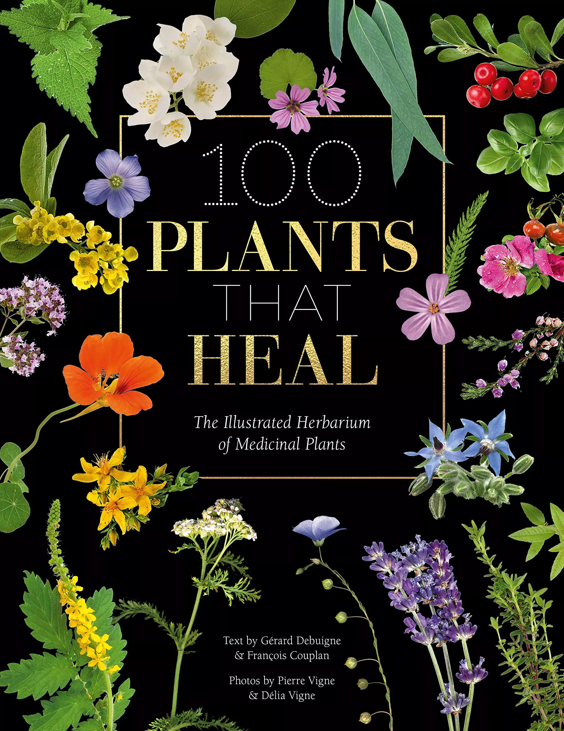 100 Plants that Heal: The illustrated herbarium of medicinal plants - Book