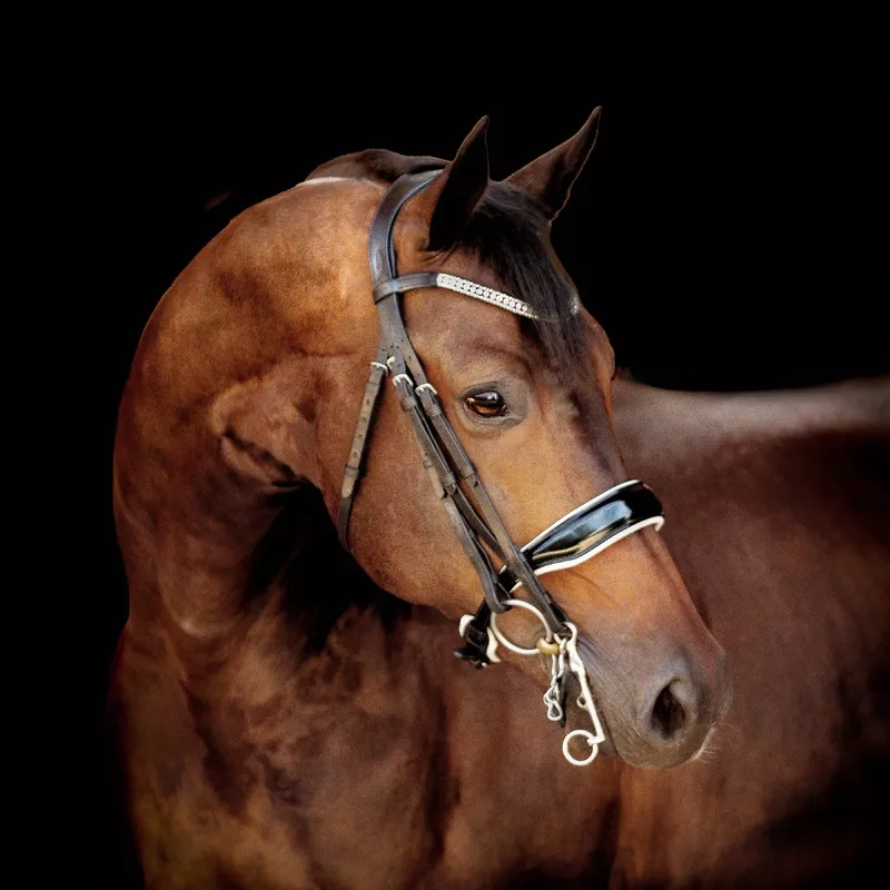 'Adeline' luxury leather bridle - (double) (pony) Black
