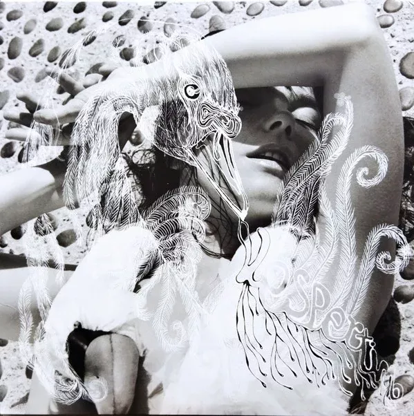 Björk - Vespertine (2xLP, Album, RE)