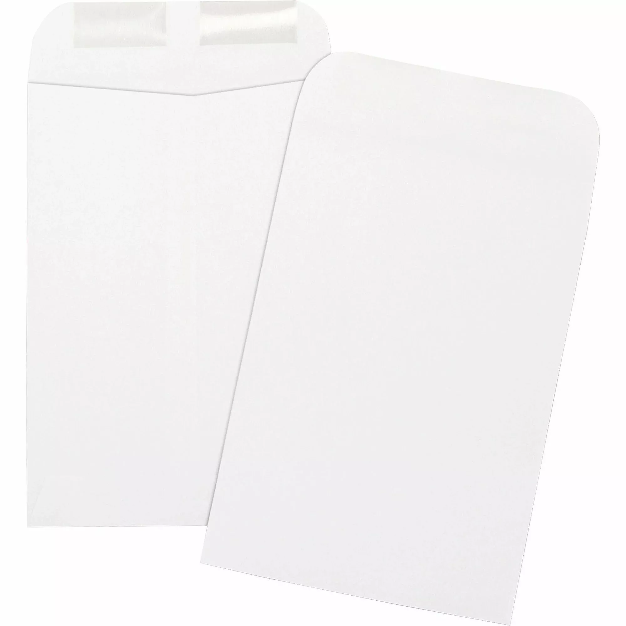 Business Source Catalog Envelopes,Plain,24lb,6-1/2"x9-1/2",500/BX,WE