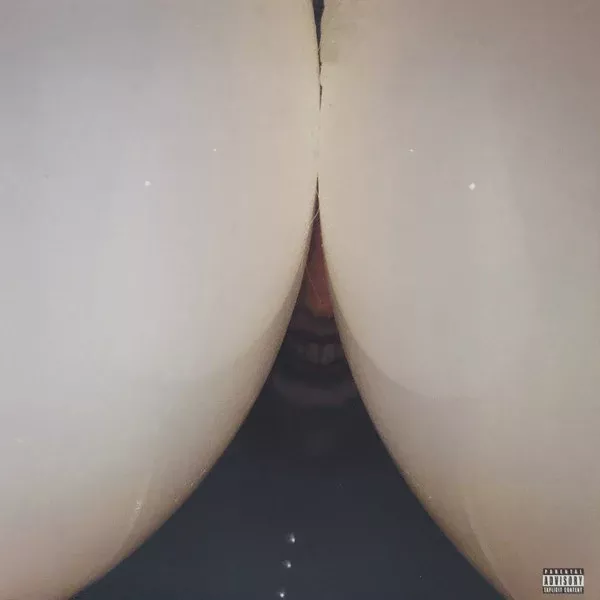 Death Grips - Bottomless Pit (LP, Album)