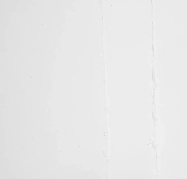 magnani incisioni paper 310gsm white sheet