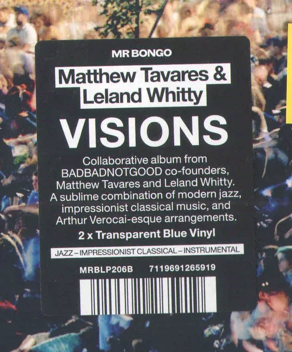 Matthew A. Tavares & Leland Whitty - Visions (2xLP, Album, Ltd, Blu)
