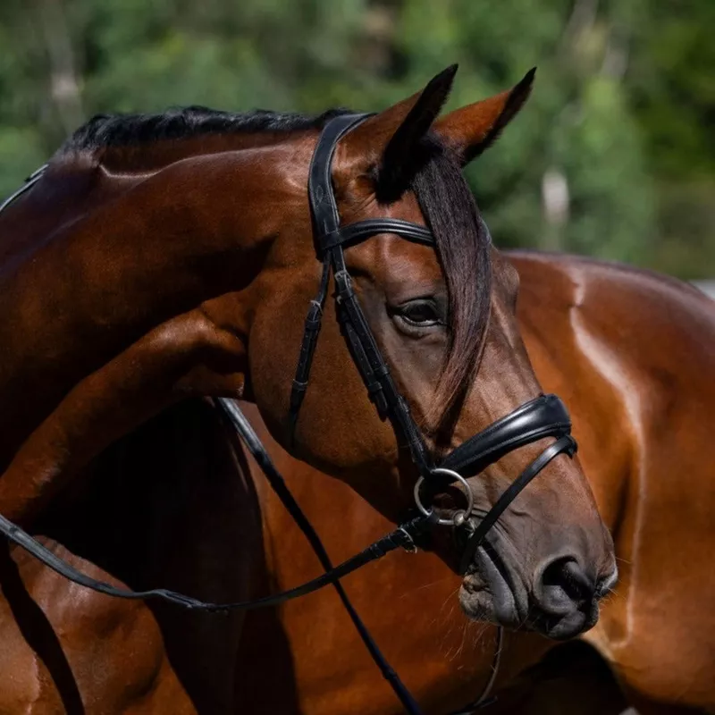 'Mikayla' Leather Bridle (Convertible) Black