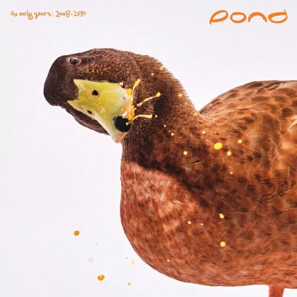 Pond- The Early Years: 2008 - 2010 (2xLP, RSD, Comp, Ltd, Man)